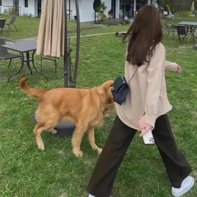 爱情摇摆曲